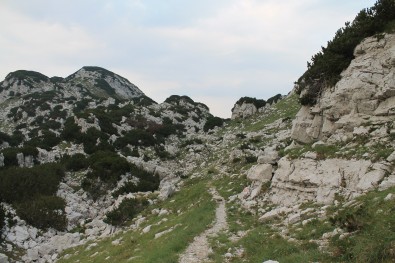 habitat of Salamandra atra prenjensis - Mt. Prenj